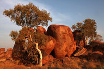 The Devil's Marbles von Mike Greenslade