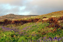 West Penwith, Cornwall by Mike Greenslade