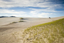 Dunes of Joaquina Beach, Florianopolis von Ricardo Ribas