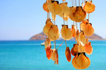 Dangling Shells in a Wind Chime von Ian C Whitworth