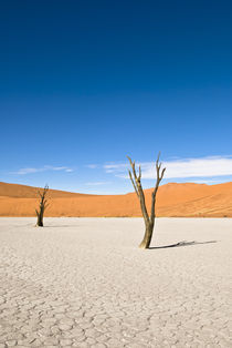 Dead Acacia Trees, Dead Vlei von Russell Bevan Photography