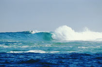 California's Secret Waves by Melissa Salter