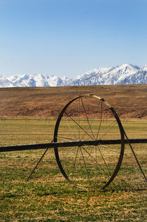 Farming in Bishop, California by Melissa Salter