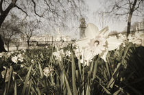 England, London, Buckingham Palace in Spring von Alan Copson