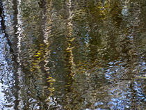 pond ripples reflection by Ed Book