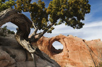 Window Rock, California Monument by Melissa Salter