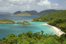 Caribbean, U.S. Virgin Islands, St  John by Danita Delimont