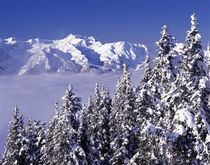 WA, Olympic NP, Olympic Mountain Range by Danita Delimont