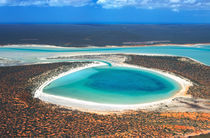 Australia, Western Australia, Shark Bay by Danita Delimont