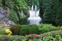 N.A., Canada, British Columbia, Vancouver Island, Saanich, Butchart Gardens von Danita Delimont