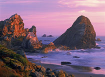 USA, Oregon, Harris State Beach, Brookings. Sea stacks at sunset. Credit as by Danita Delimont