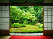 Asia, Japan, Kyoto. Zen Garden by Danita Delimont