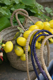 Europe, Italy, Campania (Amalfi Coast) POSITANO: Handbag with Lemons von Danita Delimont