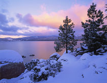 USA, California. A winter day at Lake Tahoe. Credit as von Danita Delimont