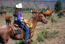 A cowgirl out working the herd on a cattle drive through central Oregon. von Danita Delimont