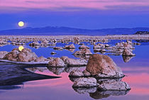 USA, California. Full moon rises at sunset on Mono Lake. Credit as von Danita Delimont
