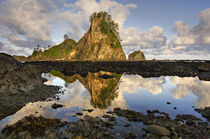 USA, Washington, Olympic National Park by Danita Delimont