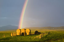 Briiliant rainbow over hay bales along the Judith mountain Range,  near Montana by Danita Delimont
