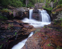 Red rock cascades along Virginia Creek in Glacier National Park in Montana von Danita Delimont