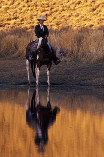 North America, USA, Oregon, Seneca. Cowboy and horse near creek (MR) von Danita Delimont