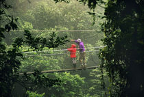 Tourists on canopy walkway, Monteverde Cloud Forest Preserve, Costa Rica von Danita Delimont