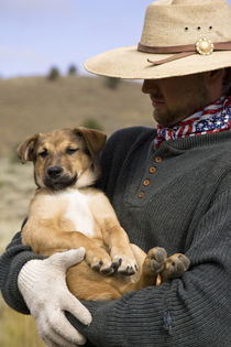 USA, Oregon, Seneca, Ponderosa Ranch. Cowboy holds his puppy. Credit as von Danita Delimont