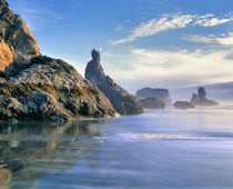 USA, Oregon, Face Rock Wayside von Danita Delimont