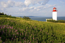 Lighthouse at St. Martins, New Brunswick, Canada von Danita Delimont