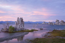 CA, Mono Lake Tufa State Reserve, South Tufa Area, Tufas and Mono Lake at sunset von Danita Delimont