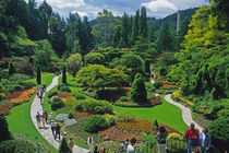 People walking on a pathway through Butchard Garden, British Columbia von Danita Delimont