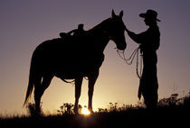 North America, USA, Oregon, Seneca. Cowboy and horse silhouette (MR) von Danita Delimont