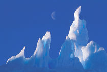 Antarctica, Australian Antarctic Territory. Iceberg von Danita Delimont