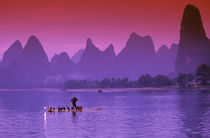 China, Guanxi.  Li river single cormorant fisherman Li river.  Xialong. by Danita Delimont