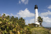USA-Florida-Miami Area (Key Biscayne): Cape Florida Lighthouse von Danita Delimont