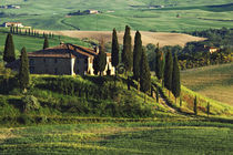 Europe, Italy. A pastoral Tuscany villa in Val d'Orcia. Credit as von Danita Delimont