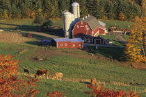 North America, USA, Vermont, Pomfret. Red Barn and fall foliage von Danita Delimont