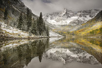 USA, Colorado, White River National Forest by Danita Delimont