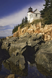 Bass Harbor Head Lighthouse, Acadia National Park, Maine by Danita Delimont