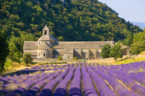 France, Gordes. Cistercian monastery of Senanque by Danita Delimont