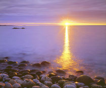 USA, Maine, Acadia National Park by Danita Delimont