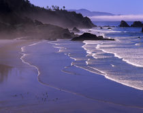 OR, Oregon Coast, Ecola SP, Indian Beach with fog by Danita Delimont