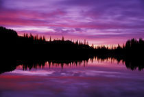 N.A., USA, Washington, Mt. Rainier Nat'l Park Sunrise at Reflection Lake by Danita Delimont