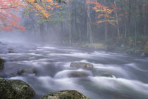 USA, New York, Adirondacks, Big Moose River rapids in Fall. Credit as by Danita Delimont