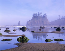 WA, Olympic National Park, Second Beach, tidepools and seastacks by Danita Delimont