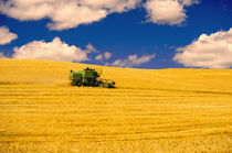 NA,USA,Washington State,Palouse Region,Combines Harvesting Crop by Danita Delimont