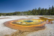 'WY, Yellowstone National Park, Upper Geyser Basin, Chromatic Pool' von Danita Delimont