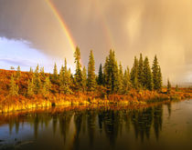 USA, Alaska, Denali NP von Danita Delimont