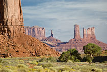 USA, Utah, Monument Valley Navajo Tribal Park von Danita Delimont