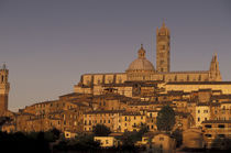 Europe, Italy, Tuscany, Siena 13th Century Duomo and Palazzo Pubblico, sunset by Danita Delimont