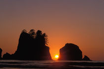 Sunset at Point of the Arches along the Pacific coast, Washington by Danita Delimont